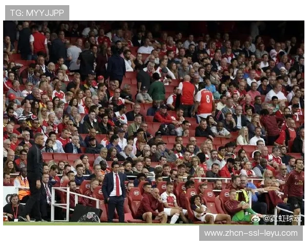 球迷组织呼吁票价透明化，英超客场观赛成本上涨